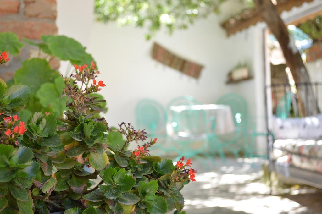 Zeytinli Konak Konuk evi Selçuk Dış mekan fotoğraf